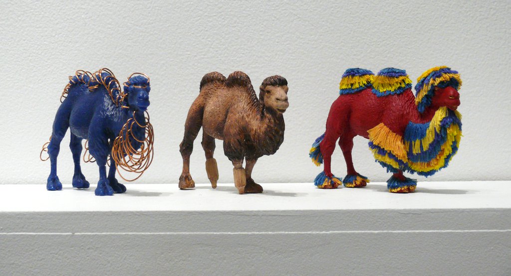 Maeve Browning camels