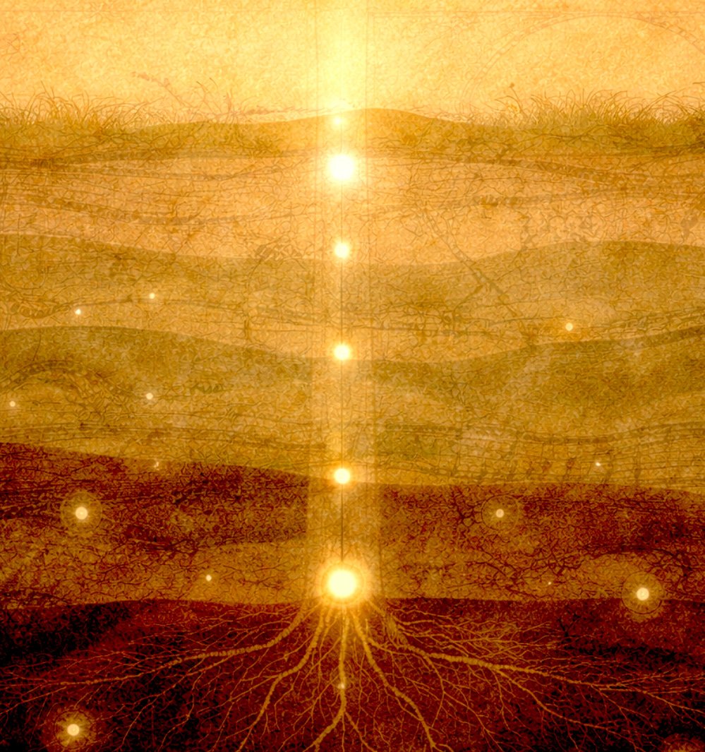 18_Paul_Rudy_Time_Seeds