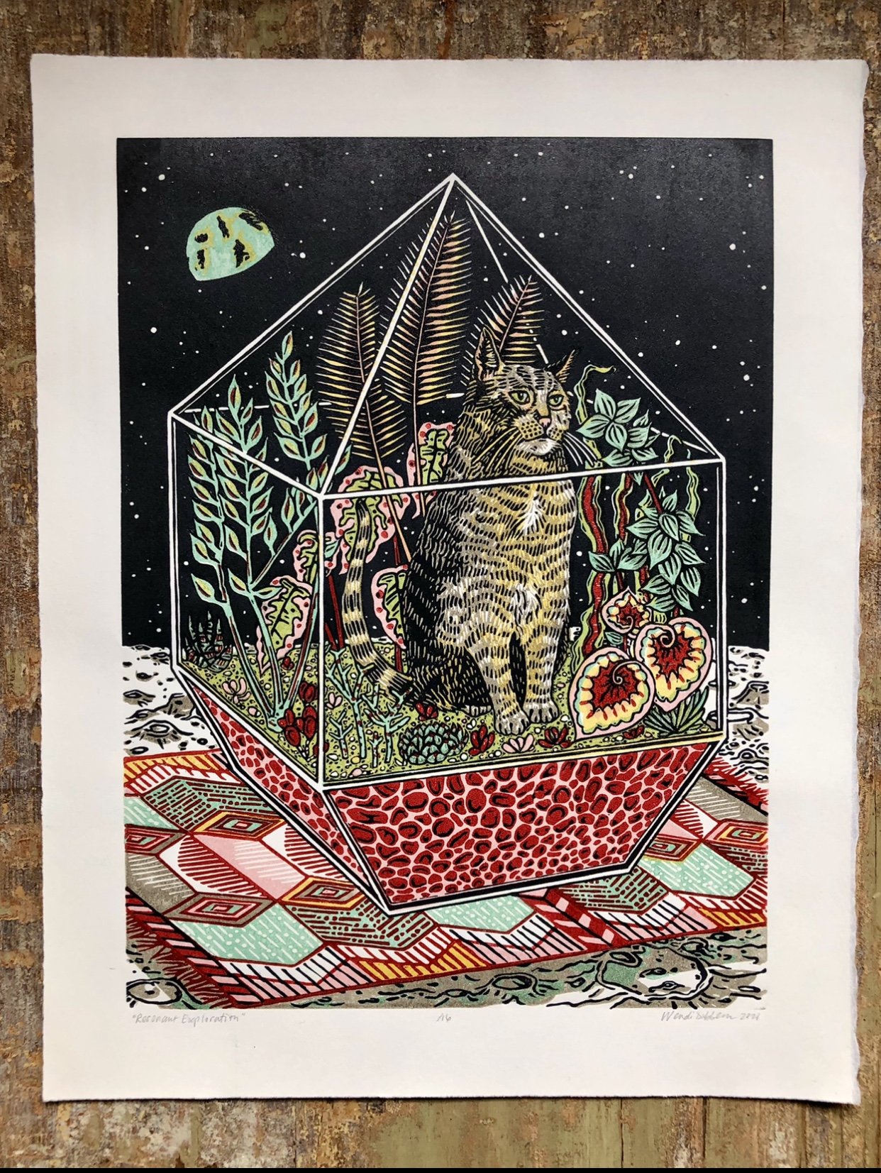 Dibbern_Wendi_Resonant Exploration