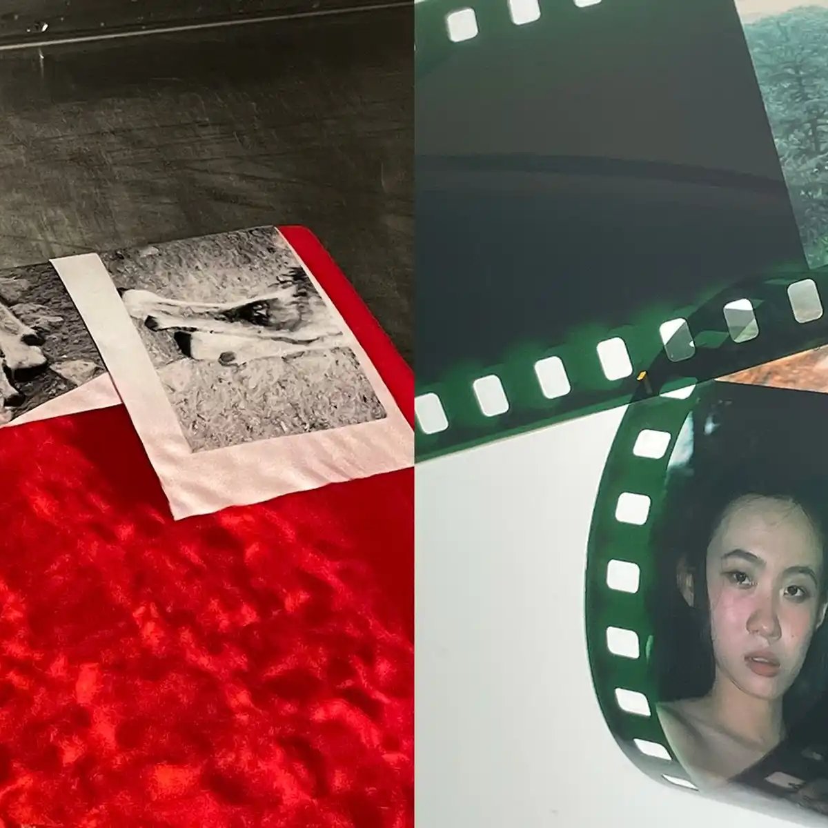 Intro to Darkroom_Mu