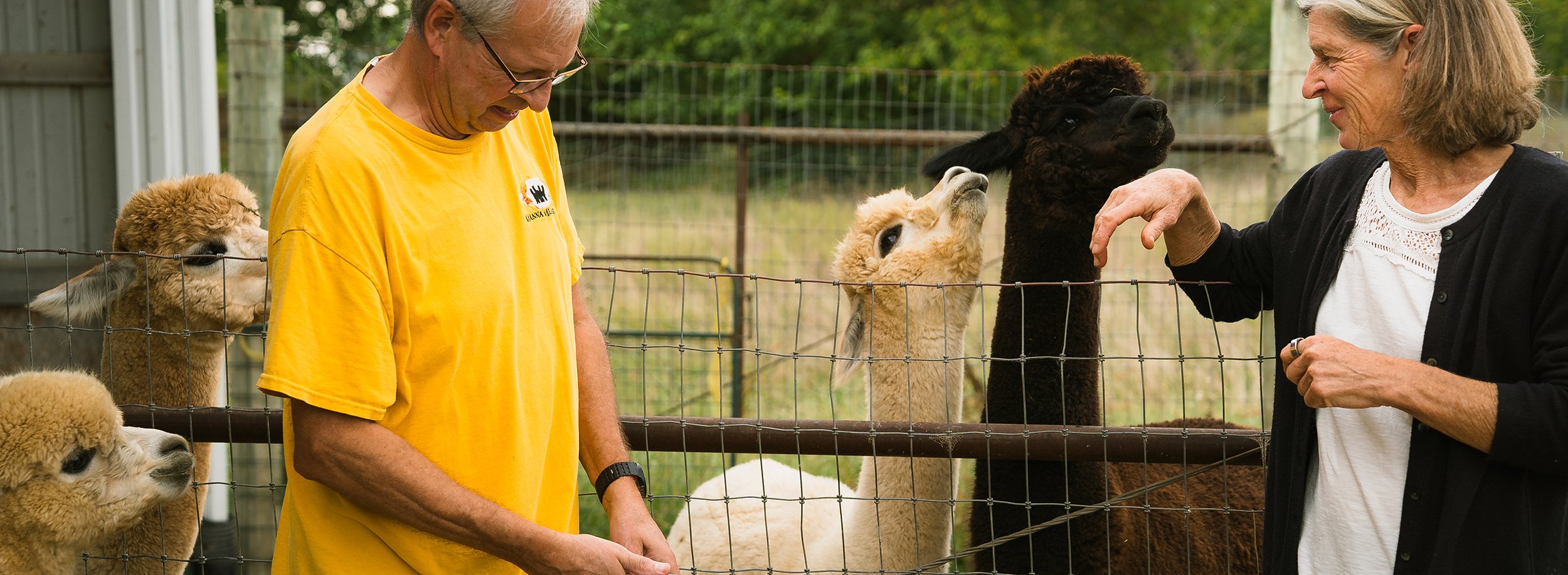 pauline with alpaca