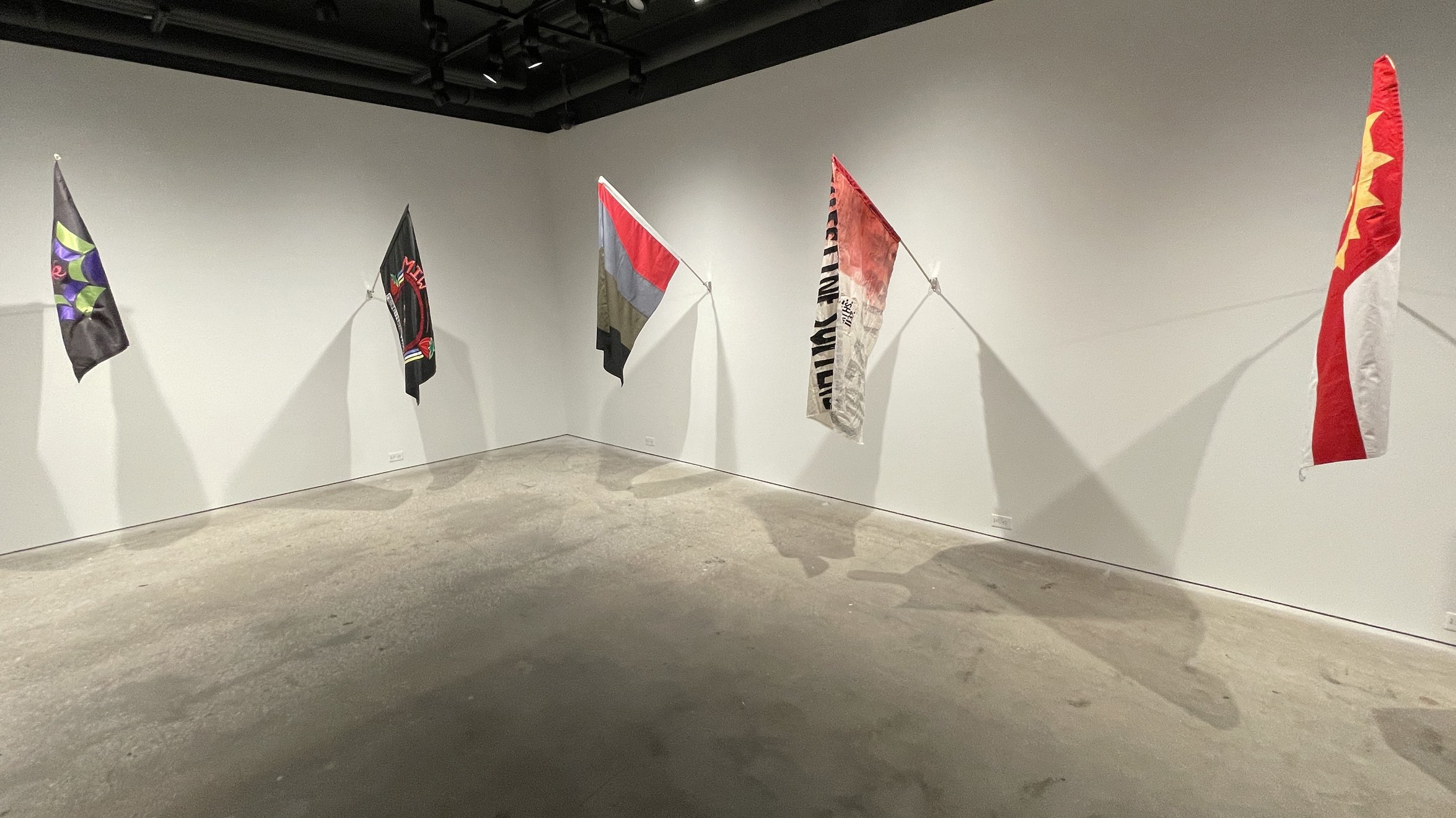 FLAG PROJECT Gallery Image