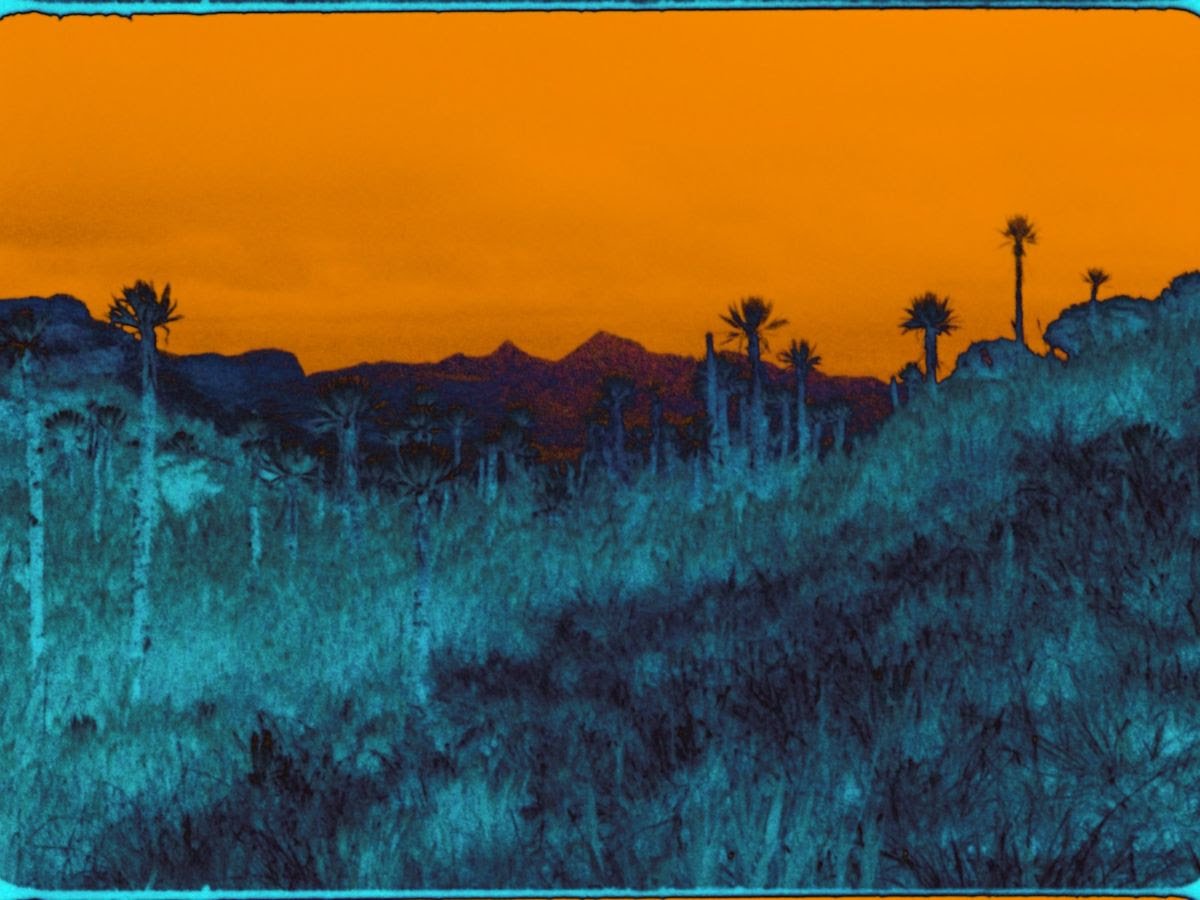 life-on-land-evening-of-film